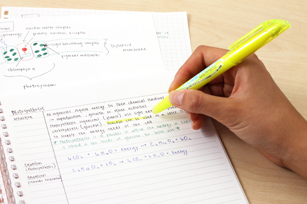 Pilot FriXion Light Erasable Highlighter