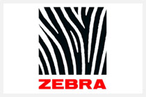 Zebra Fine Character Brush Soft Pen - Various Sizes and Weights – CHL-STORE