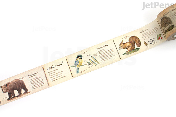 Mt Ex Washi Tape Encyclopedia Animal 30 Mm X 10 M Jetpens Mt Ex Washi Tape Encyclopedia Animal 30 Mm X 10 M Jetpens