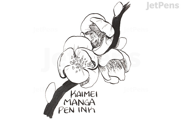 Kaimei Black Manga Ink 30 Ml Bottle Jetpens
