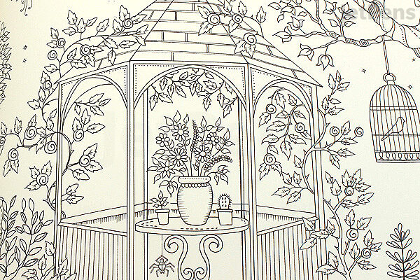 Download Secret Garden An Inky Treasure Hunt And Coloring Book Johanna Basford Jetpens