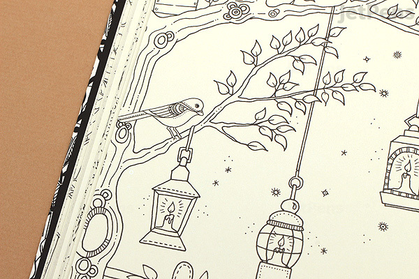 Secret Garden An Inky Treasure Hunt And Coloring Book