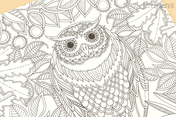 Download Secret Garden Artist's Edition - Johanna Basford - 20 Drawings - JetPens.com