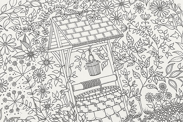 Download Secret Garden Artist's Edition - Johanna Basford - 20 Drawings | JetPens