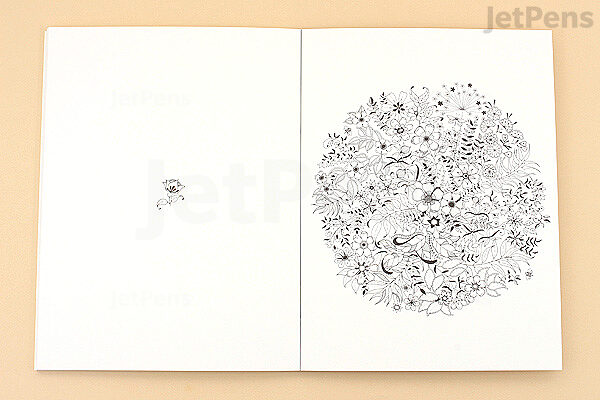 Download Secret Garden Artist's Edition - Johanna Basford - 20 Drawings | JetPens