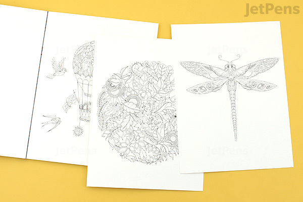 Download Secret Garden Artist's Edition - Johanna Basford - 20 Drawings - JetPens.com