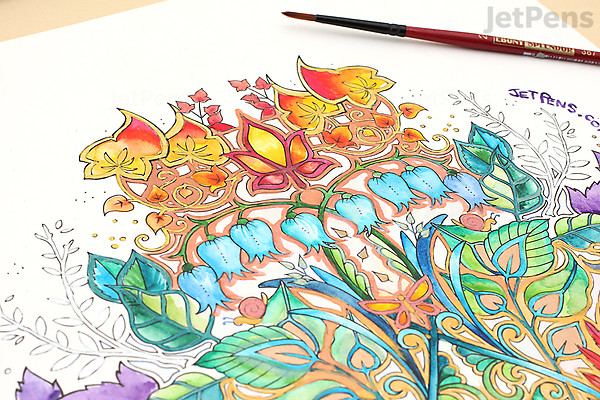 Download Enchanted Forest Artist S Edition Johanna Basford 20 Drawings Jetpens