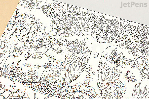 Download Enchanted Forest Artist S Edition Johanna Basford 20 Drawings Jetpens