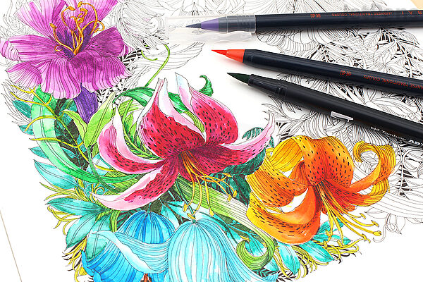 Coloring Book For Adults With Abstract Patterns And Colored Pens