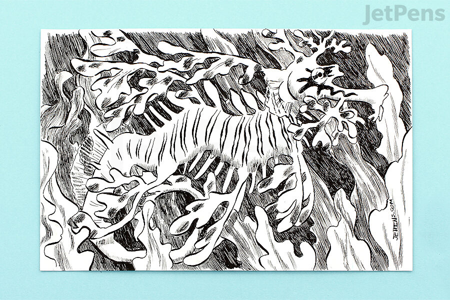 Zebra Comic Nib - Hard G Pen - Set of 10 – Yoseka Stationery