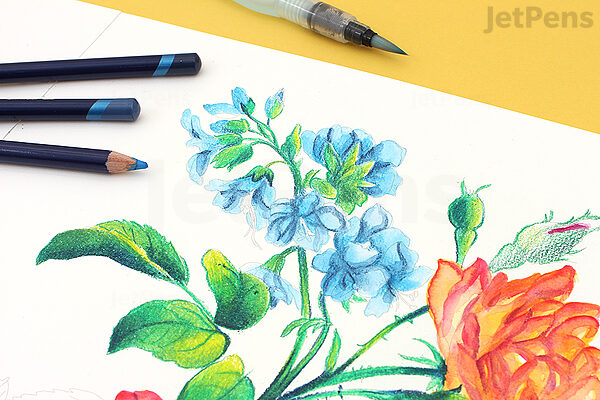 Download Pepin Artist S Coloring Book Still Life Bouquets Jetpens