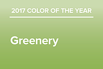 Color of the Year | JetPens
