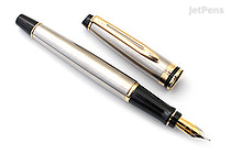 Waterman Expert Fountain Pen - Stainless Steel - Gold Trim - Fine Nib - WATERMAN S0951940