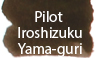 Pilot Iroshizuku Yama-guri