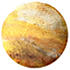 Shop Gold products