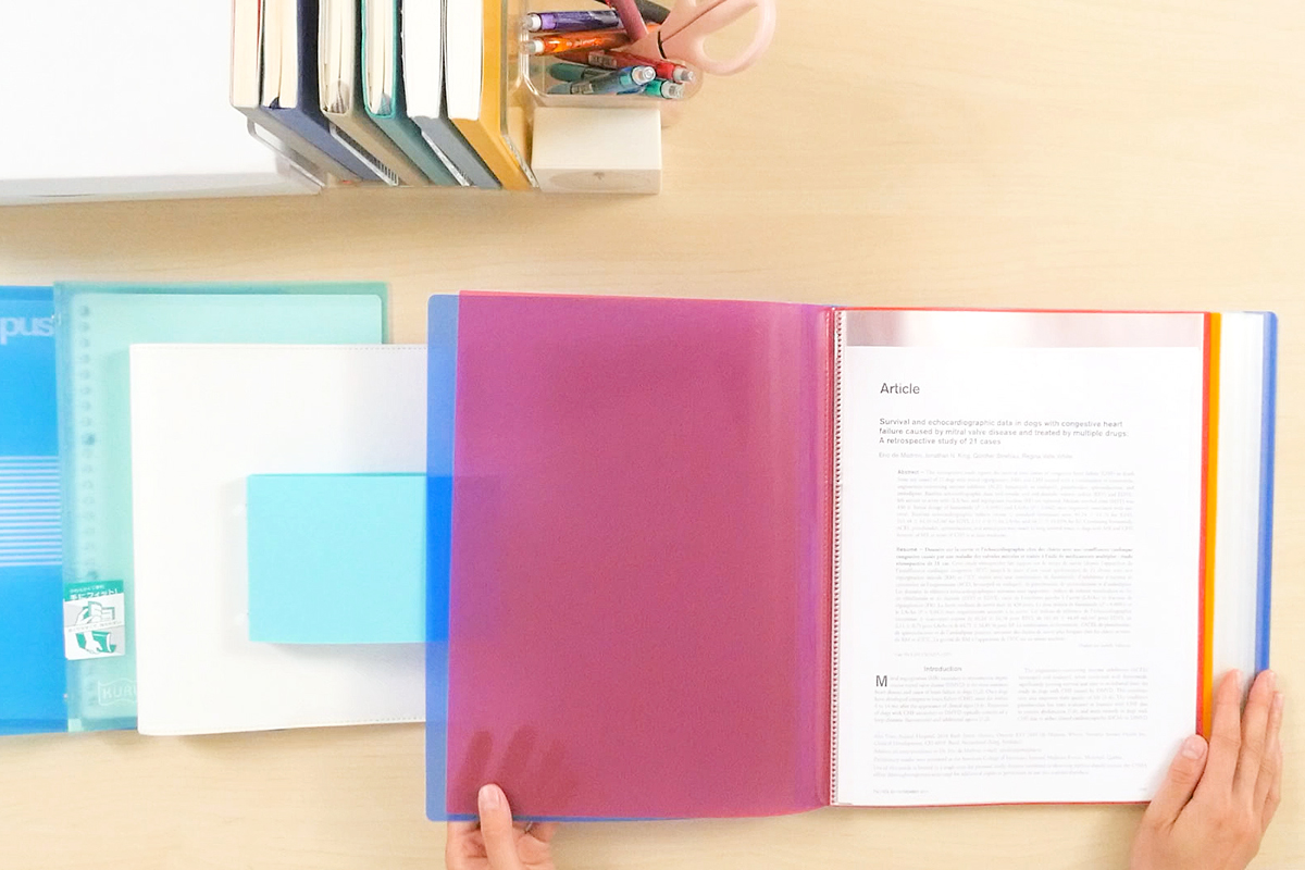 Binders: High-Quality Japanese Binders in All Sizes & Colors