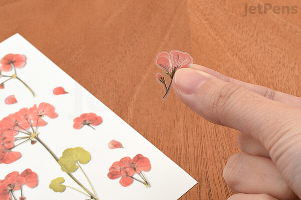 Appree Pressed Flower Sticker - Cherry Blossom