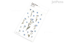 Appree Pressed Flower Stickers - Forget-Me-Not - 1 Sheet - APPREE APS-005