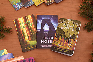 Field Notes Special Edition Memo Books