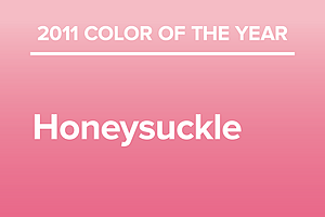 2011 Color of the Year - Honeysuckle