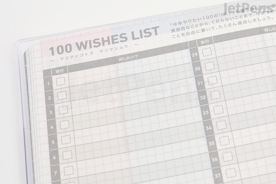 100 Wishes