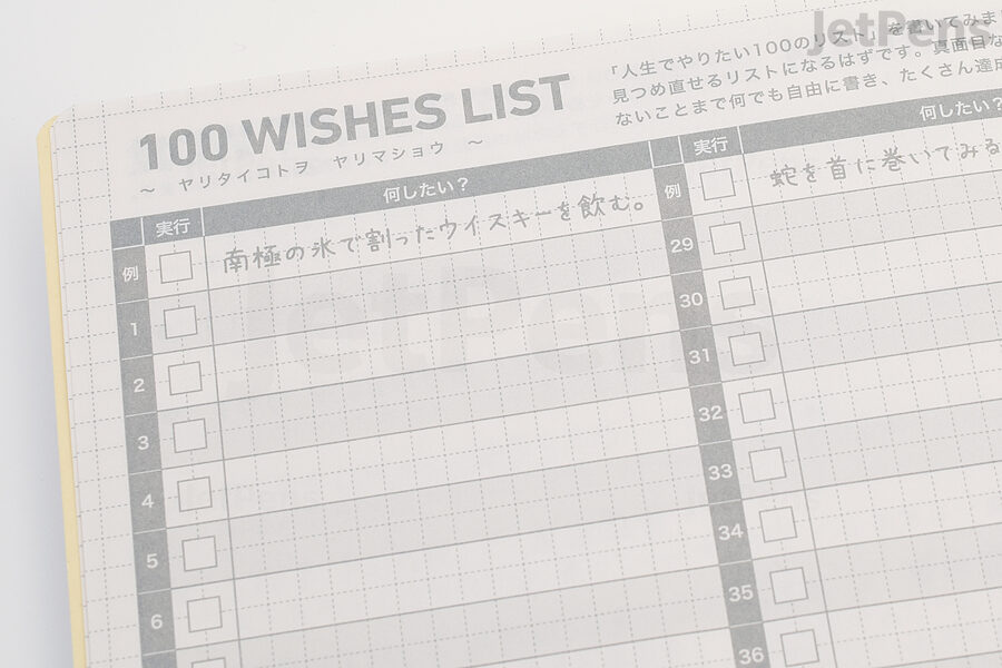 100 Wishes List