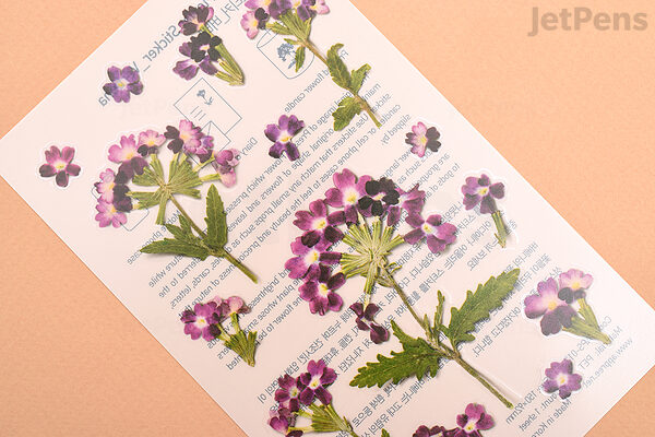 Appree Pressed Flower Sticker - Verbena