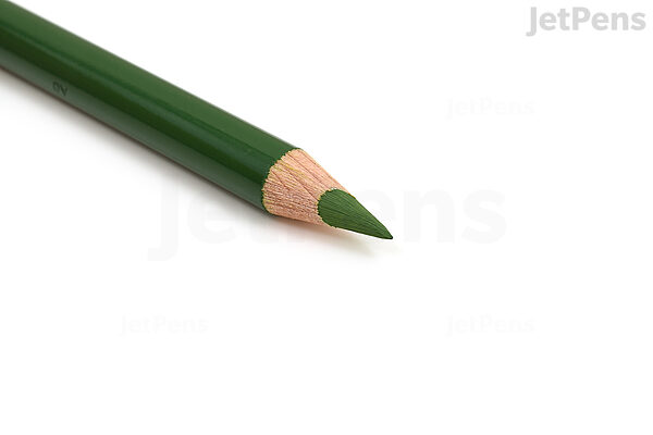 Faber-Castell : Polychromos Pencil : Permanent Green Olive