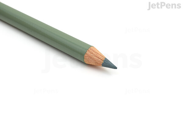 Faber-Castell Polychromos Artists' Color Pencil Earth Green