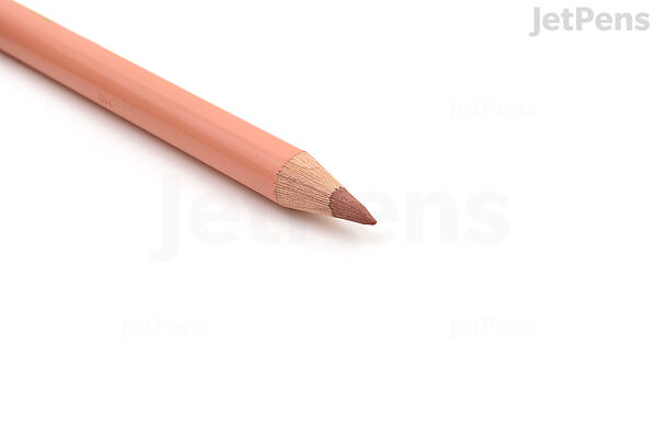 Faber-Castell Polychromos Artist Pencil - 189 JetPens