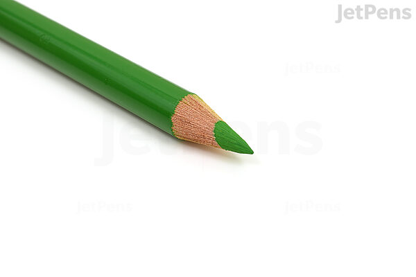 Faber Castell Polychromos Colored Pencil - 266 Permanent Green