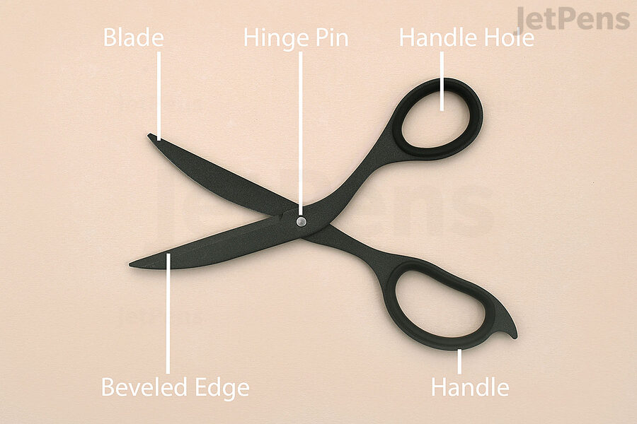 Scissors Anatomy