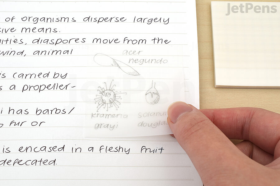 Stalogy Translucent Sticky Notes ensure you can trace textbook diagrams and put them directly in your notes.