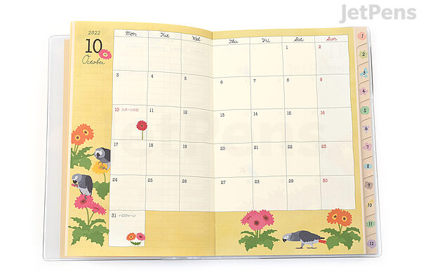 Midori Pocket Diary 2024 - Birds – Jenni Bick Custom Journals