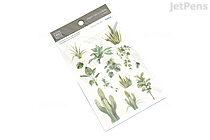MU Print-On Transfer Stickers - Succulent Plants (037) - MU BPOP-001037