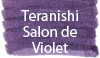 Teranishi Guitar Taisho Roman Haikara Salon de Violet