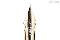 Flex Nib: A specialty nib with flexible tines that separate with pressure, allowing the writer to achieve thick downstrokes and thin upstrokes. The Pilot Elabo Fountain Pen is one example.