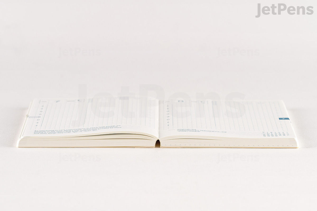 Hobonichi Techo Weeks [Inglés/Alto y Delgado/Enero 2025 Start/Planner Hobonichi Techo Weeks [Inglés/Alto y Delgado/Enero 2025 Start/Planner