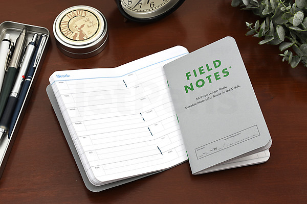 Field Notes Memory Field Notes Index Memo Books - Ledger & Date - 3.5